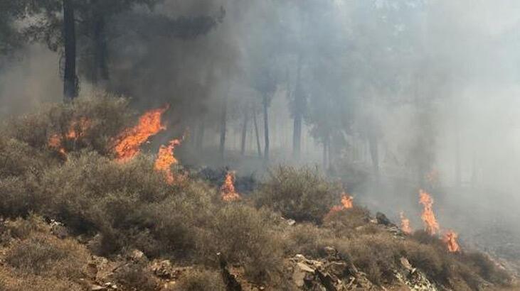 Hatay’daki orman yangınıyla ilgili 1 şüpheli gözaltına alındı