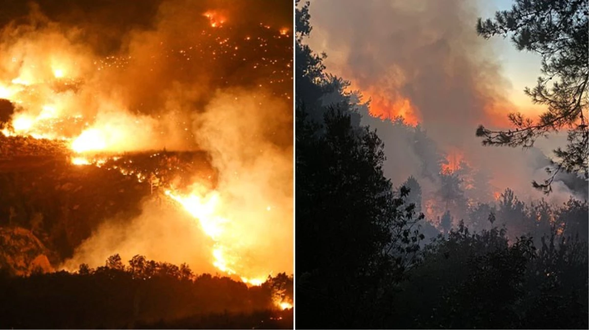 3 vilayette orman yangını: Meskenler yandı, vatandaşlar tahliye edildi, 2 kişi gözaltında