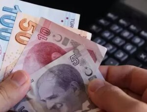 Yeni tedavüle çıkan 5 ve 50 TL kağıt banknotlar israf tartışmasına neden oldu